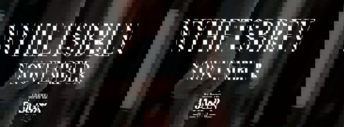 Nyhetsbrev November'24